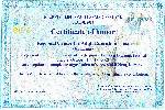 Certificate IIZ DVV